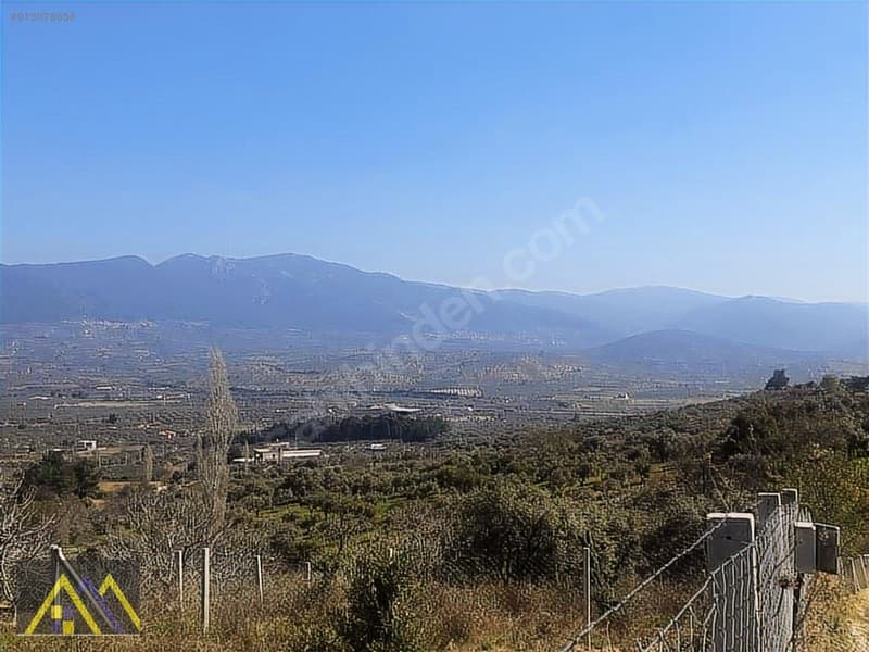 Çakırbeyli Köyünde 235 m2 Zeytinli Tarla - görsel 18