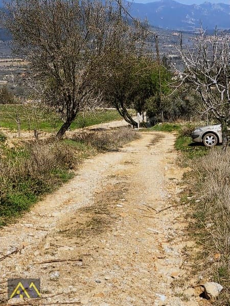 Çakırbeyli Köyünde 235 m2 Zeytinli Tarla - görsel 19
