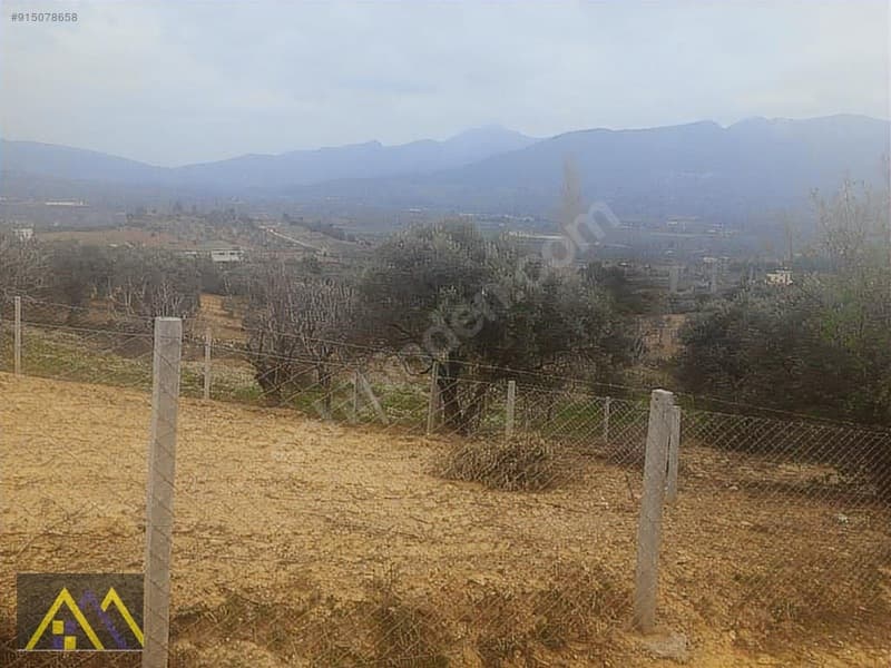 Çakırbeyli Köyünde 235 m2 Zeytinli Tarla - görsel 5