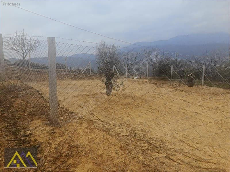 Çakırbeyli Köyünde 235 m2 Zeytinli Tarla - görsel 2