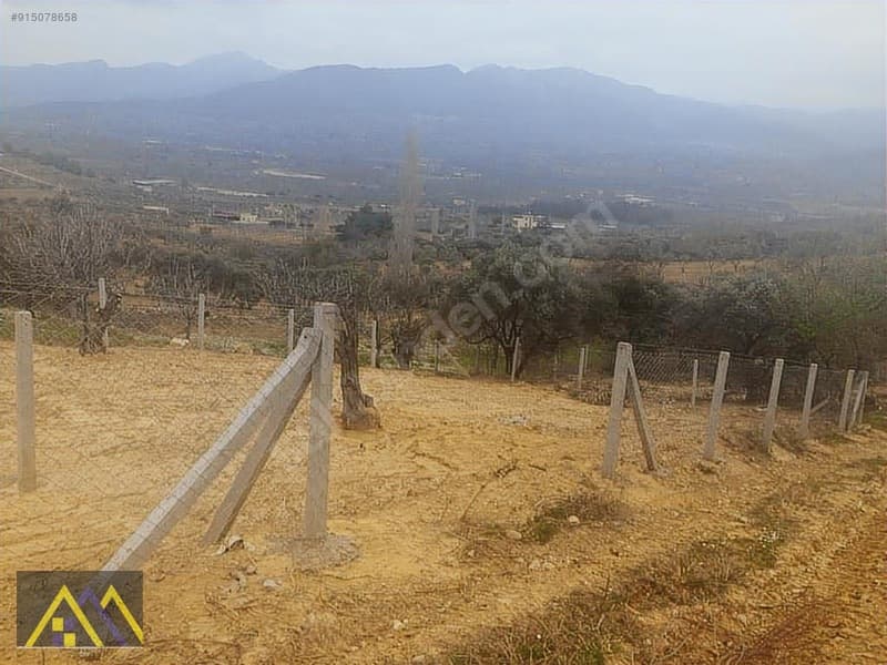 Çakırbeyli Köyünde 235 m2 Zeytinli Tarla - görsel 3