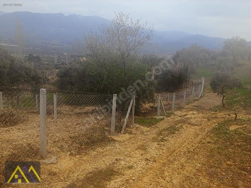Çakırbeyli Köyünde 235 m2 Zeytinli Tarla - görsel 6