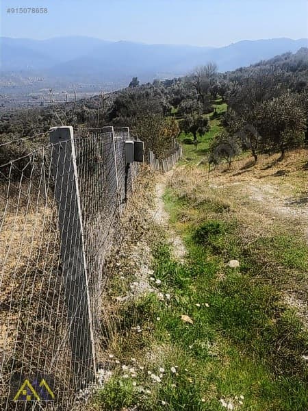 Çakırbeyli Köyünde 235 m2 Zeytinli Tarla - görsel 15