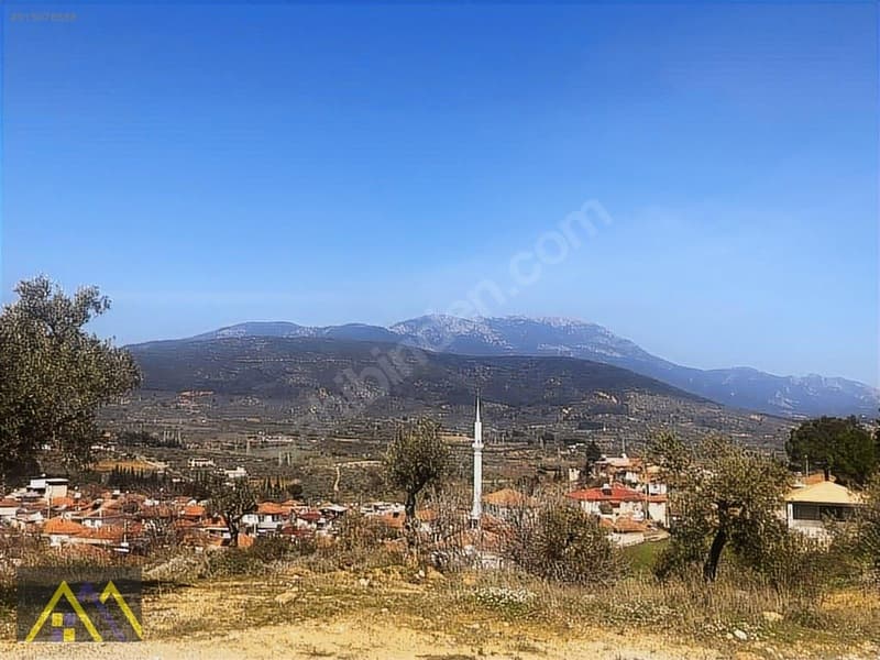 Çakırbeyli Köyünde 235 m2 Zeytinli Tarla - görsel 20