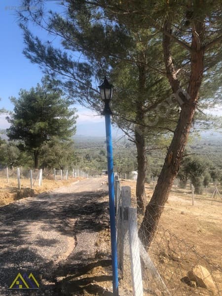 Torbalı Çapak Mah. Mirastan Bölme Elektrik ve Su Mevcut Tarla - görsel 8