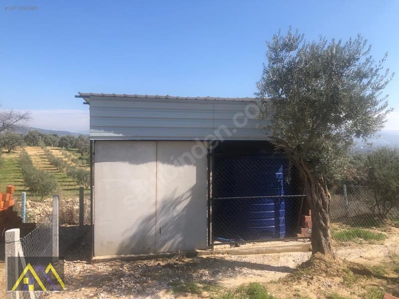 Torbalı Çapak Mah. Mirastan Bölme Elektrik ve Su Mevcut Tarla - görsel 5